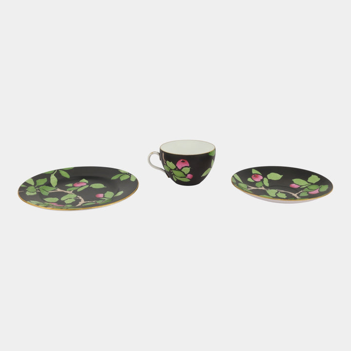 Shelley Late Foley English 1920s Porcelain Tudor Apple Tea Cup & Saucer Trio